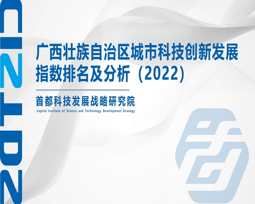 艹人妖视频【成果发布】广西壮族自治区城市科技创新发展指数排名及分析（2022）